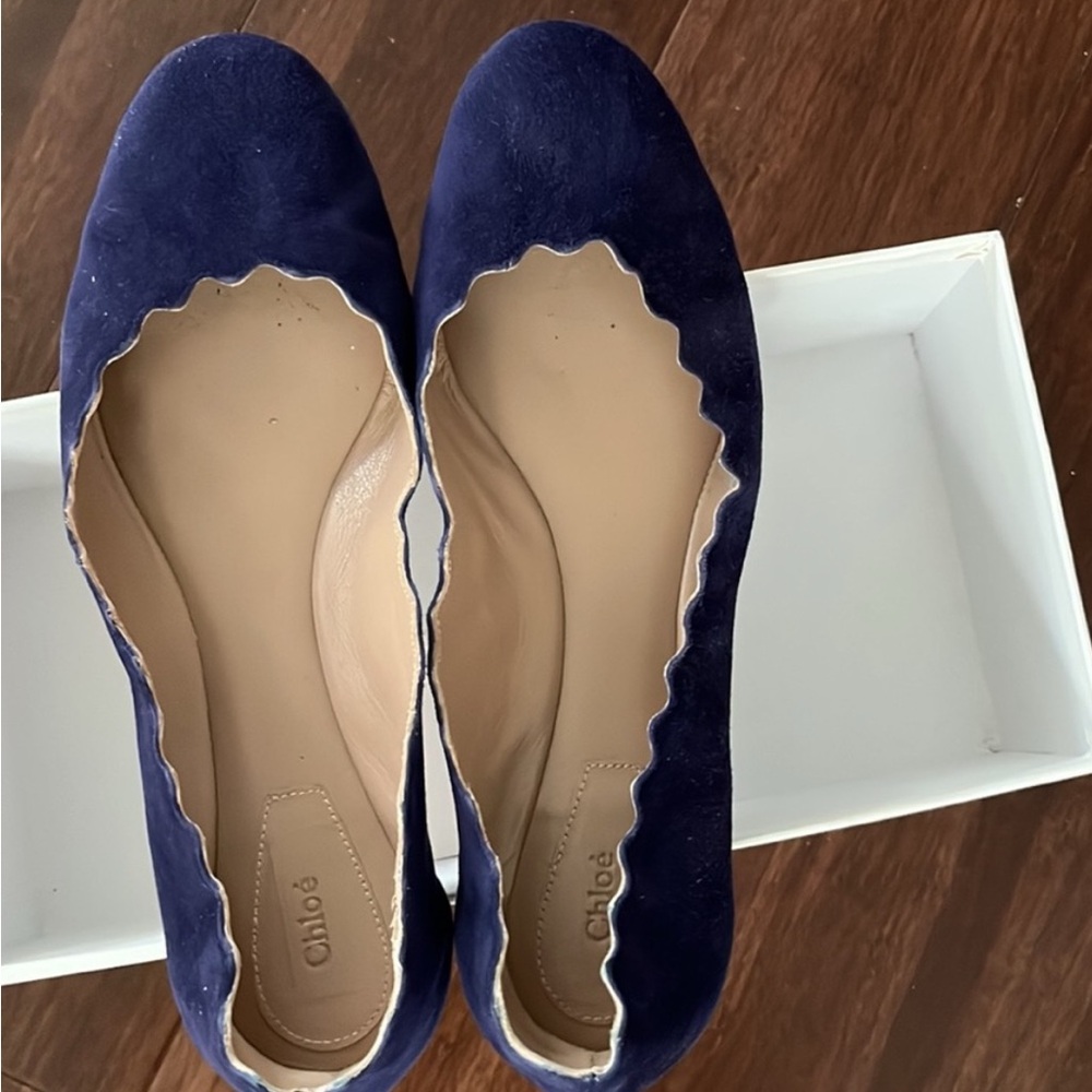Chloe Scallop Suede Ballet flats